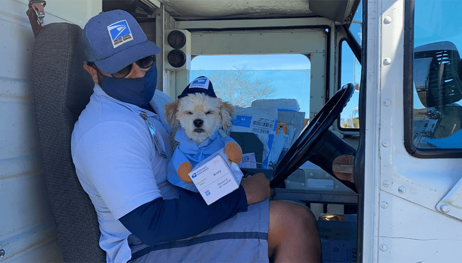 The Hype Around Pet Subscription Boxes