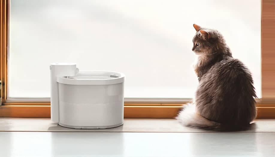 Uahpet: Pioneering Eco-Friendly and Innovative Pet Care Solutions