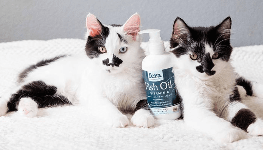 Fera Pet Organics: Helping Pets Maintain Healthy Lives